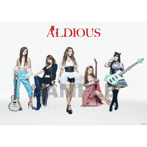 【sale!!!】Aldious 2019年ポスター (PP加工)